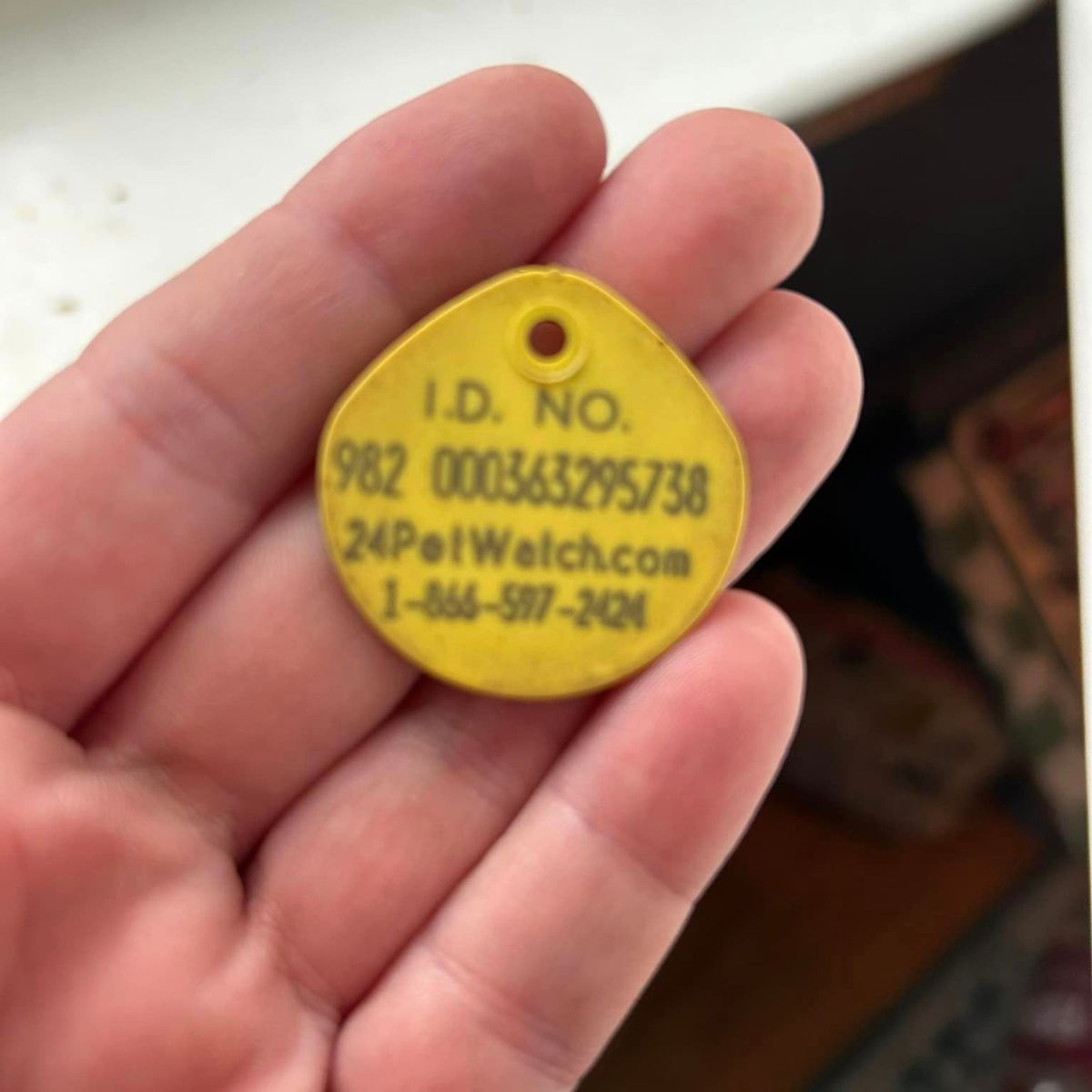 yellow tag