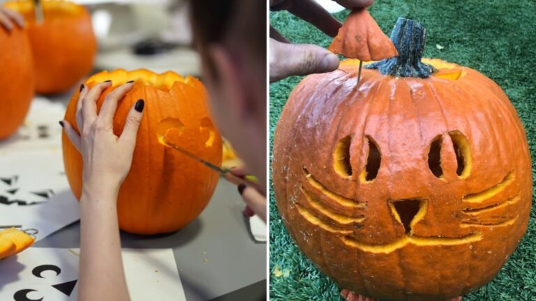 cat pumpkin carve