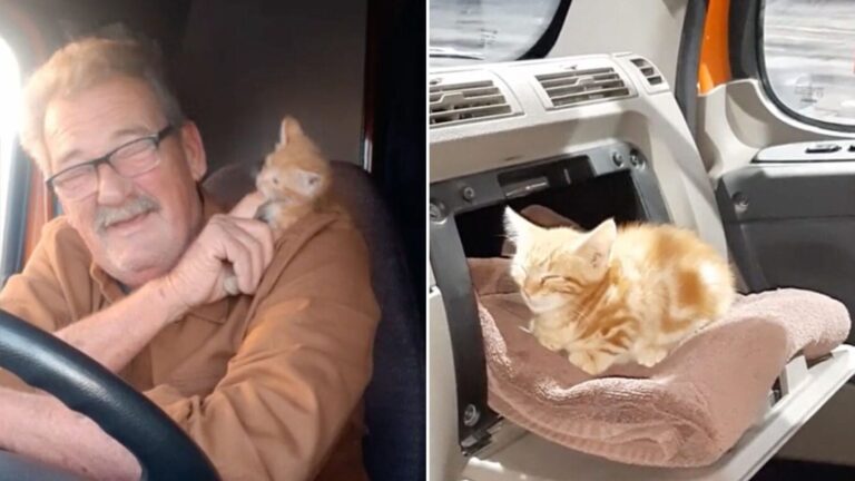 old trucker and bobby