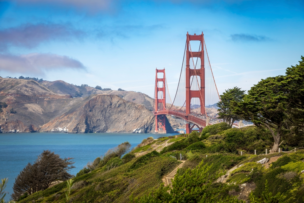 Bay Area