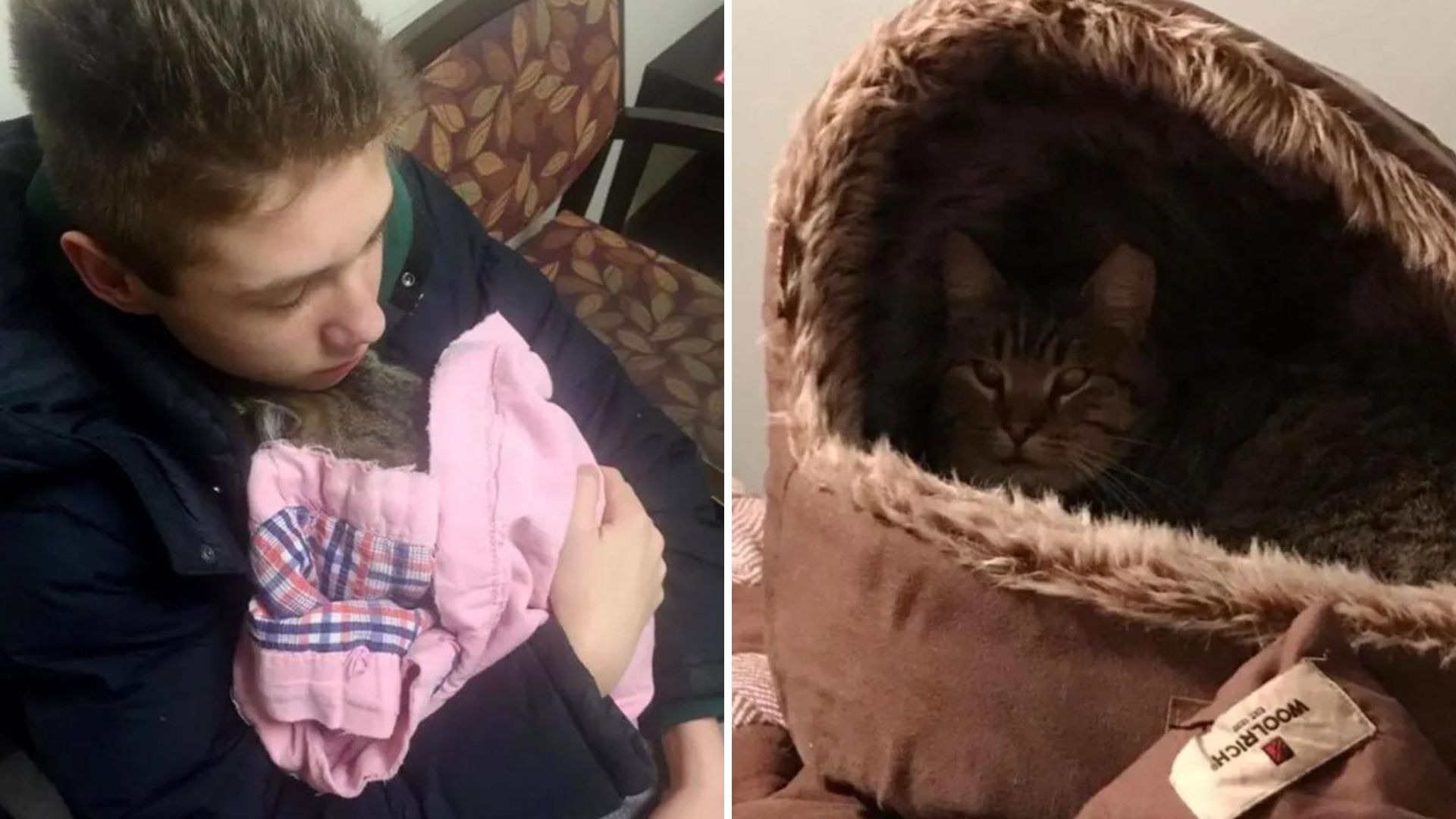 teen with rescued cat