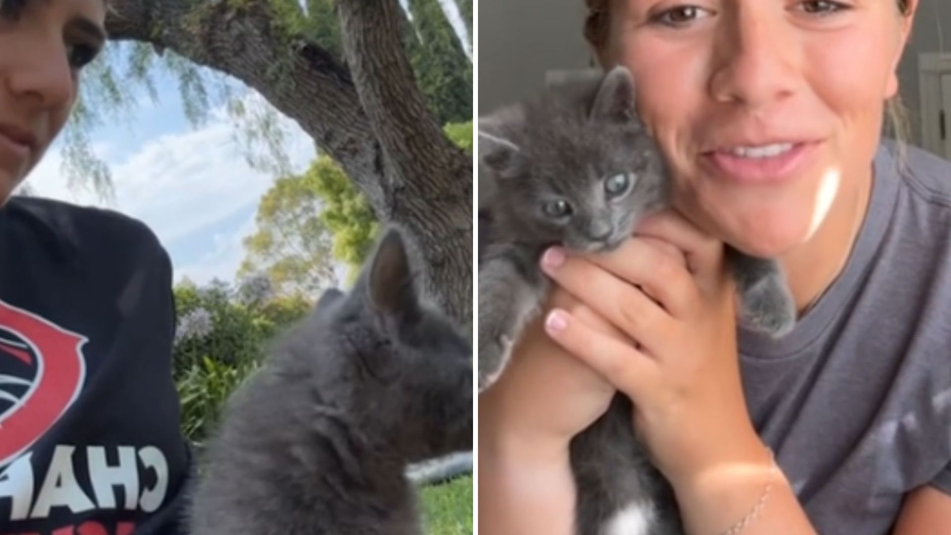 California Girl Springs Into Action After Spotting Kitten On Busy Road