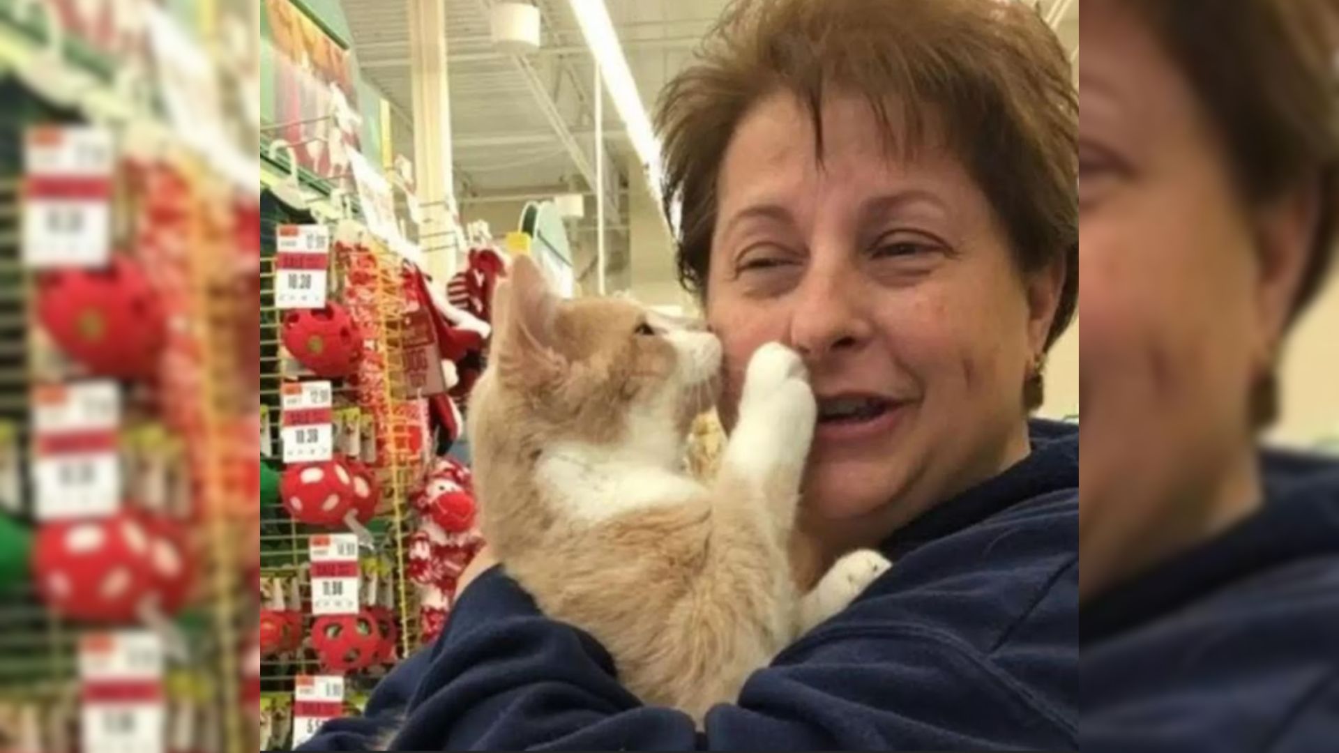 woman hugging the cat