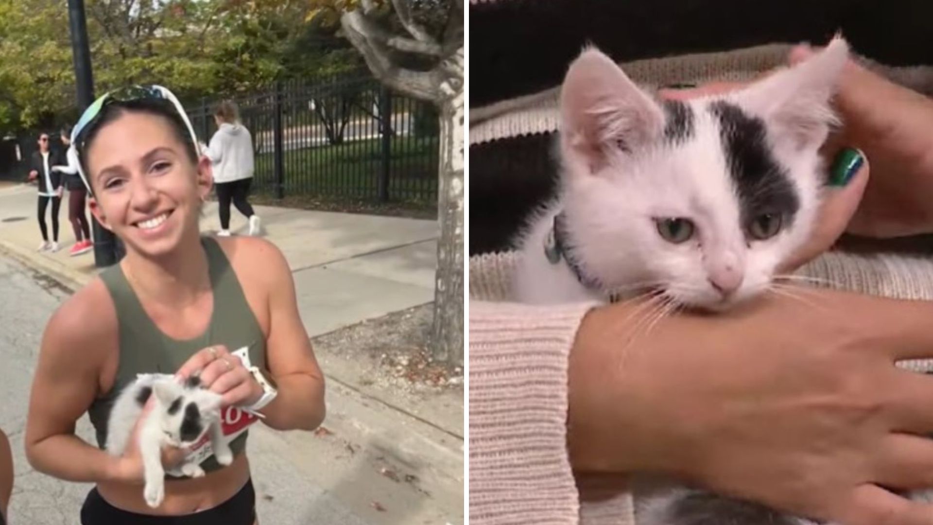 marathon runner saves kitten