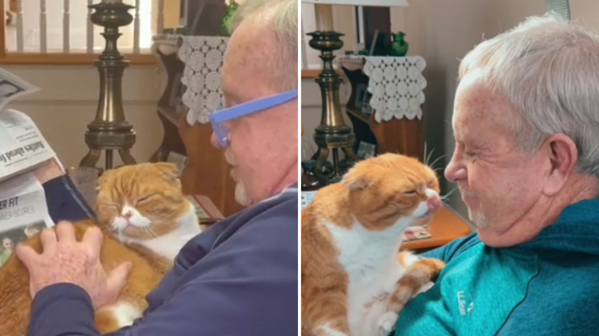 cat helps his grandpa survive cancer