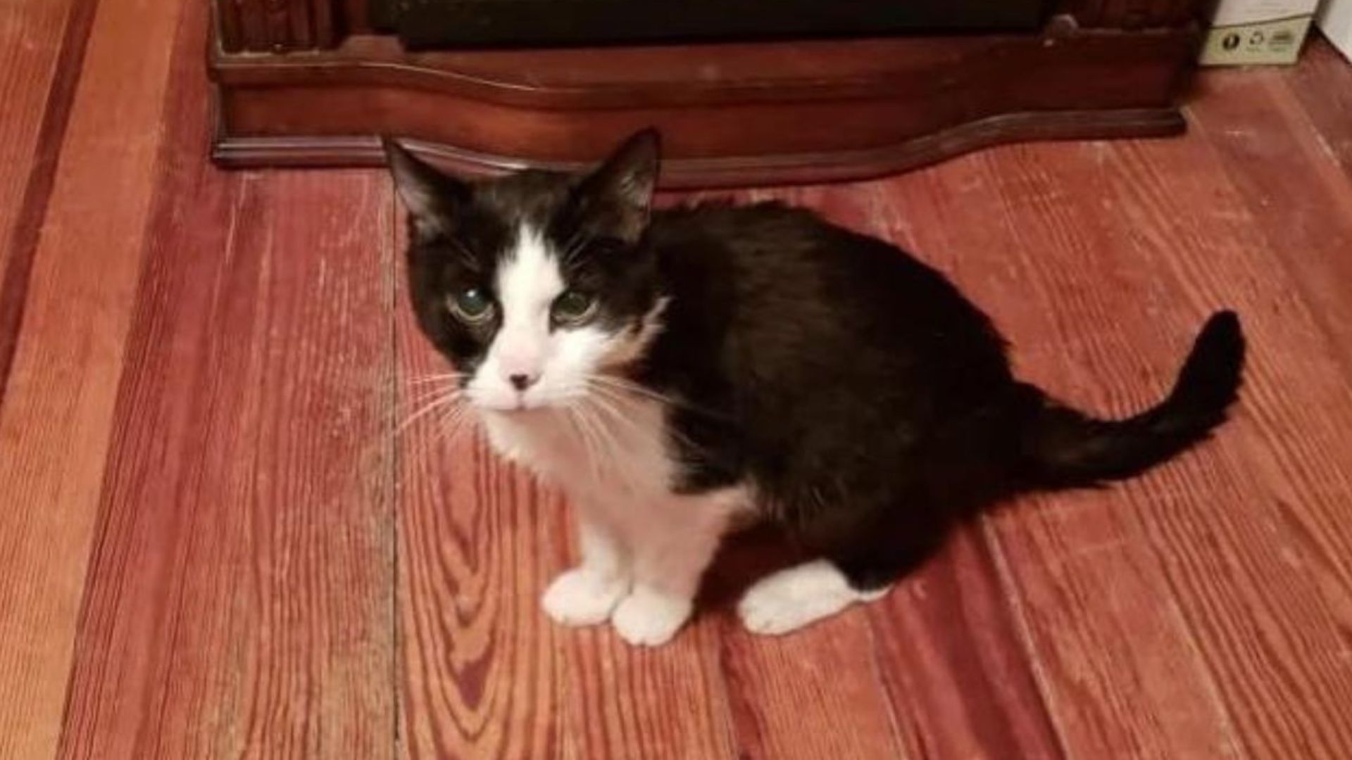lady abandoned at baltimore shelter