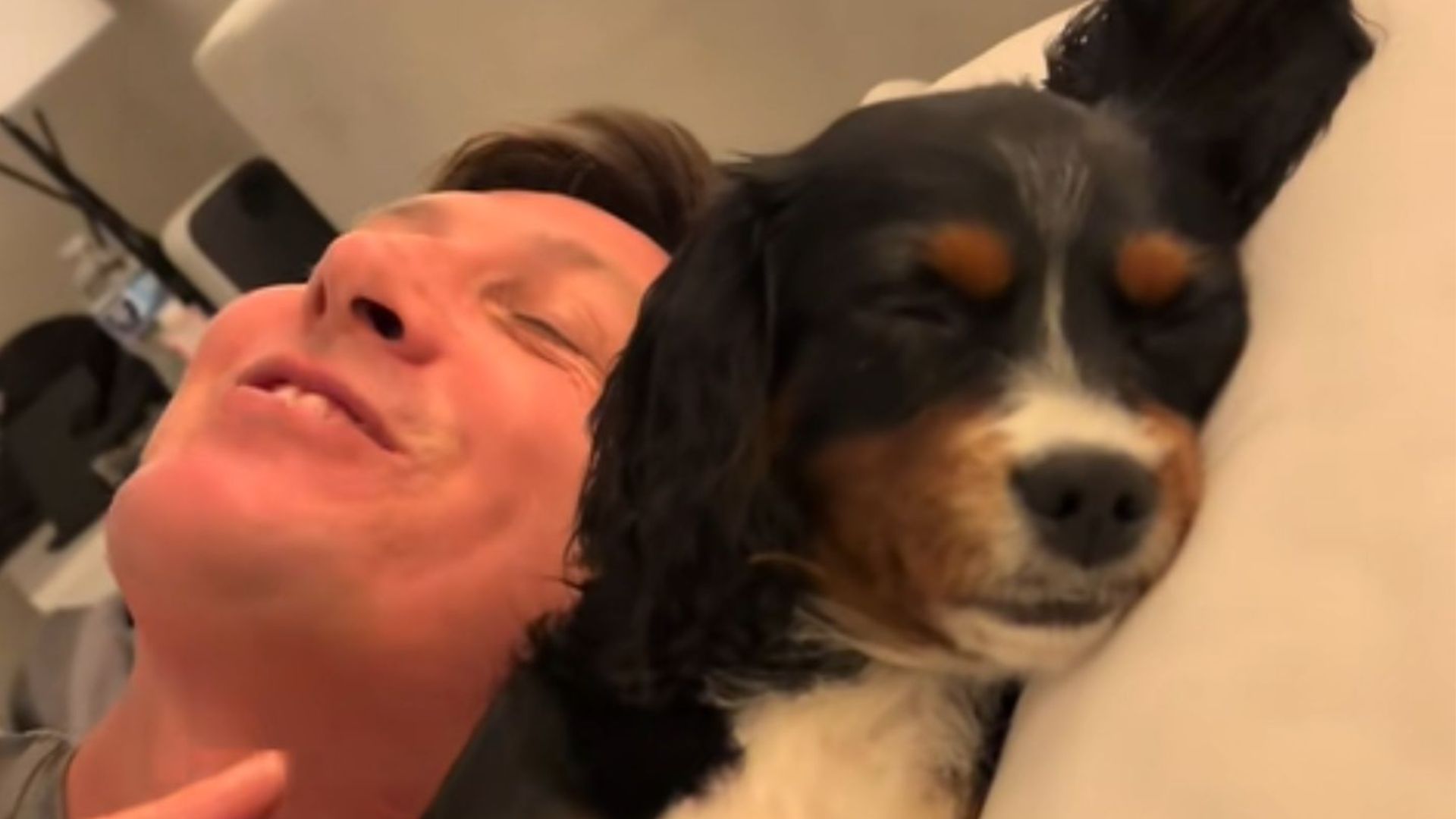 Florida Man Tries To Wake His Dog But She Pulls Off The Greatest Nap Performance Ever