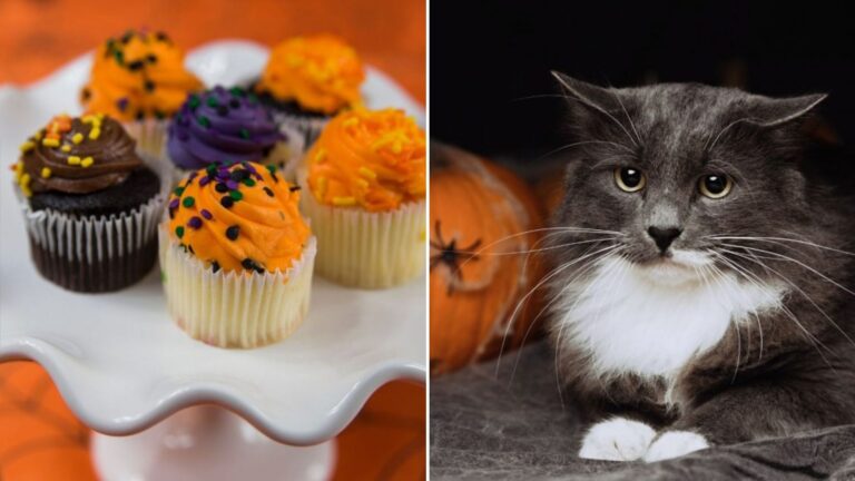 halloween food to avoid