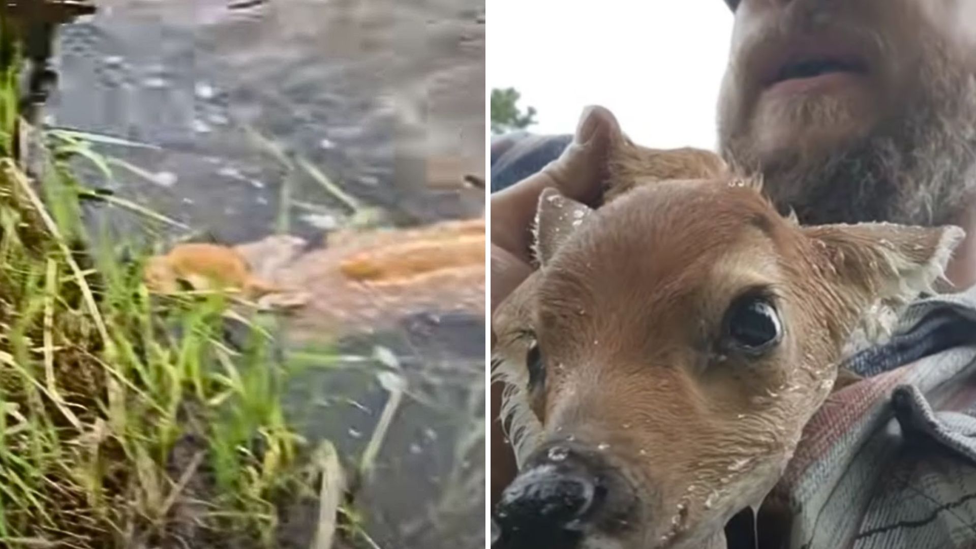 hunter’s unexpected rescue