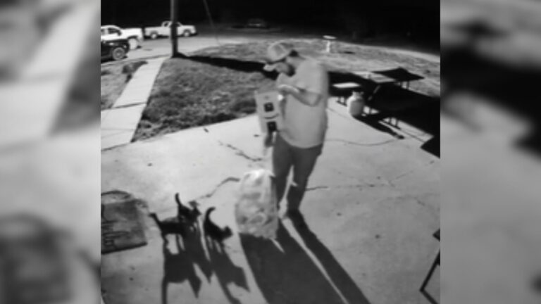 man picks up box in yard and gets shocked