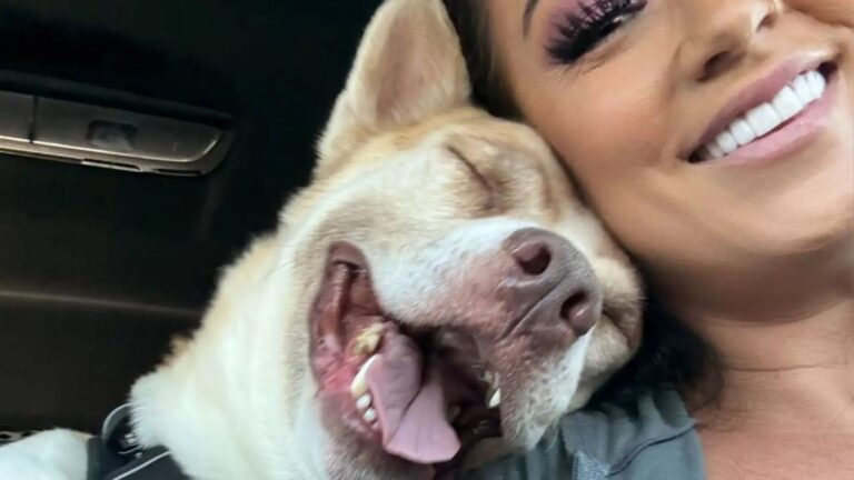 shelter dog smiles after getting second chance at life