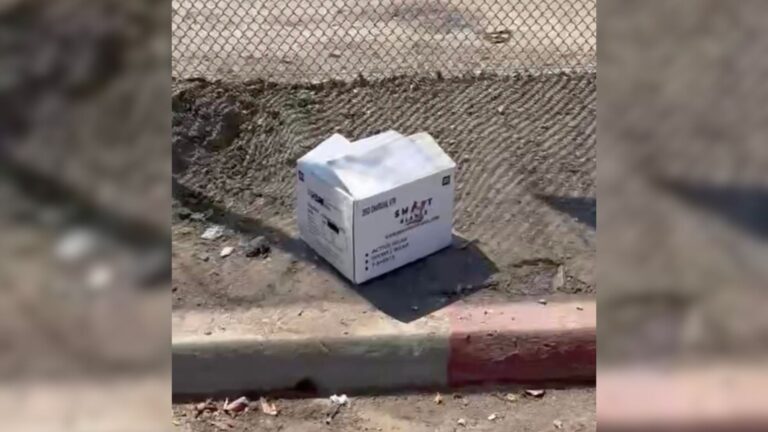 woman finds a white box on the curb
