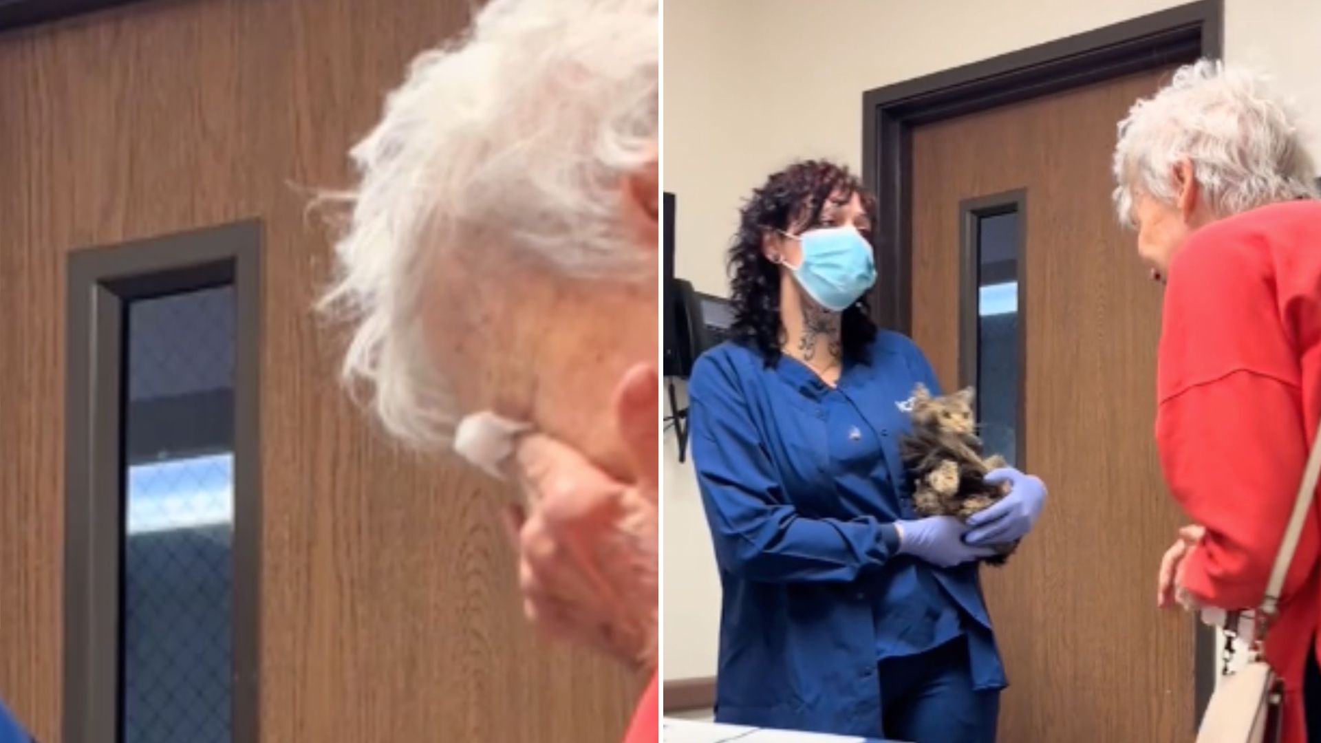 woman holding the cat