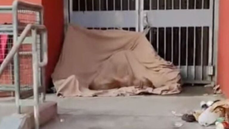 tarp