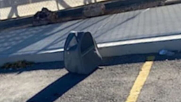 man finds abandoned pet carrier with senior cat inside