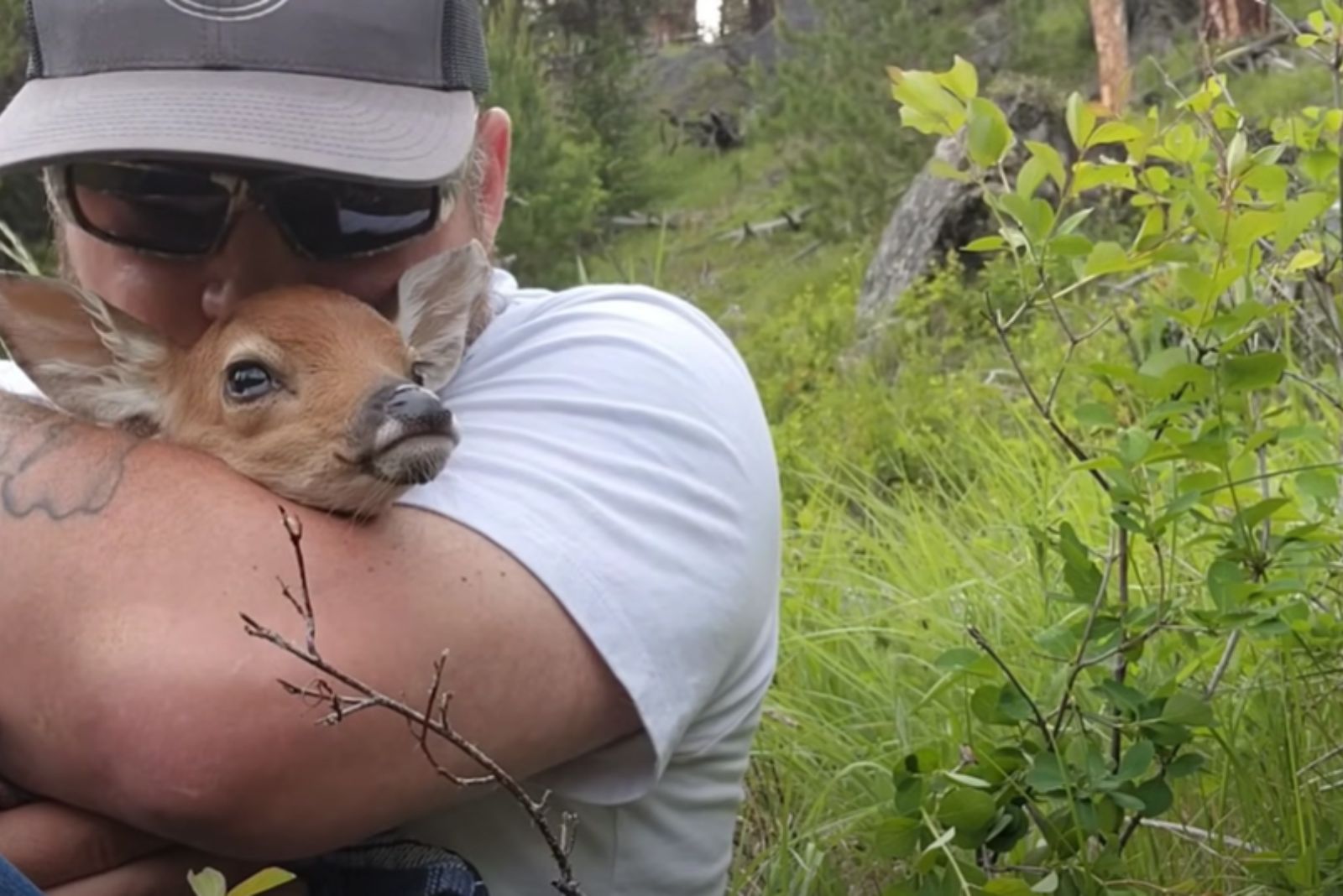 Man petting tiny fawn