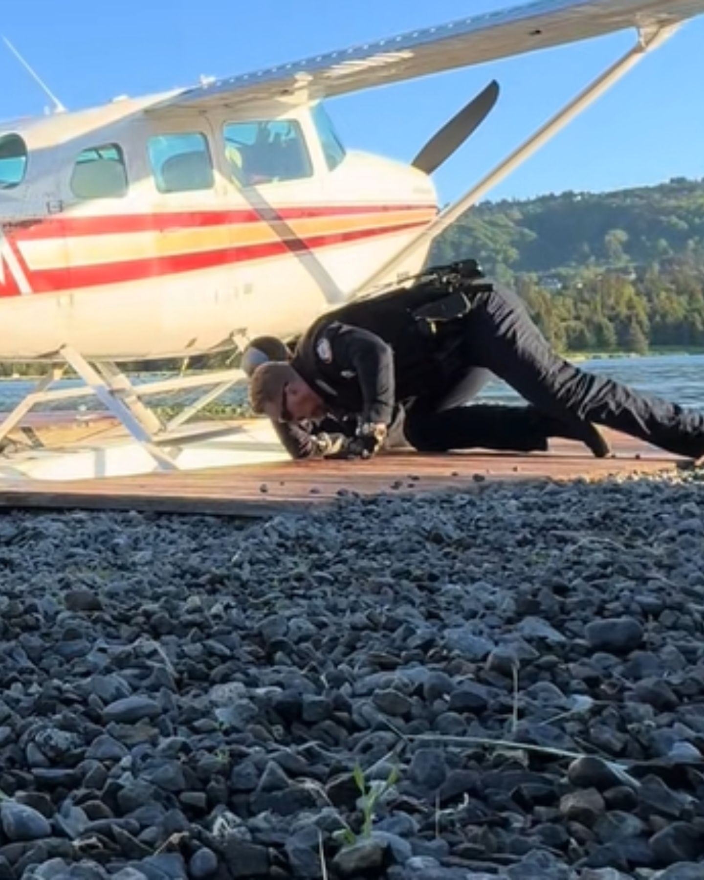 Man rescues trapped baby moose
