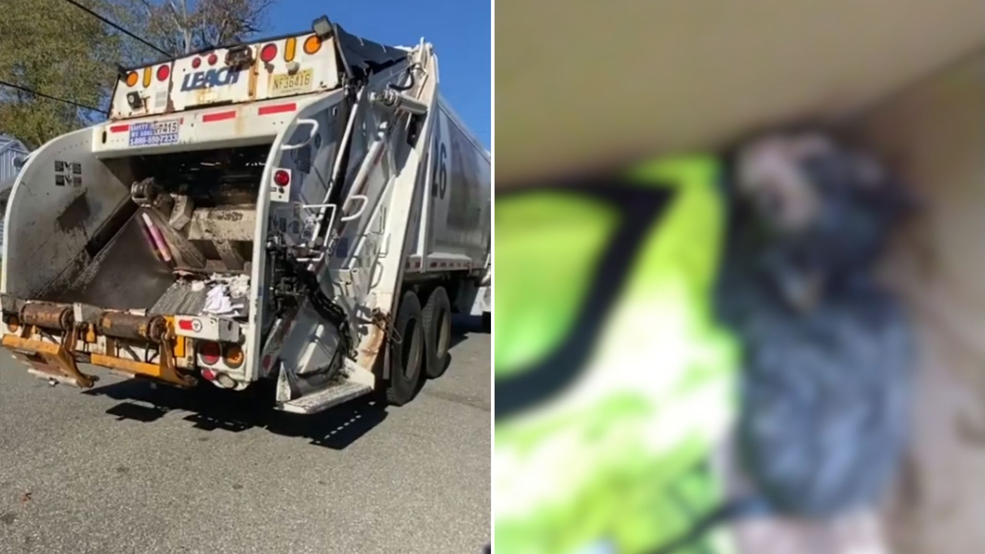 kitten stuck in trash compactor