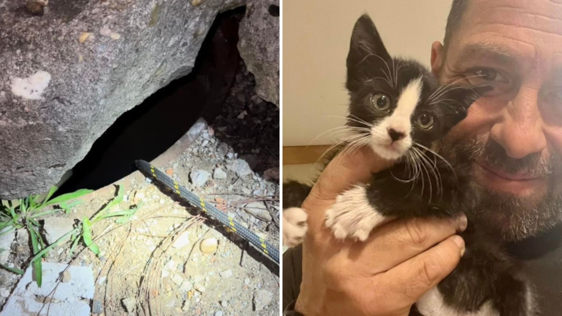 kitten trapped in storm drain