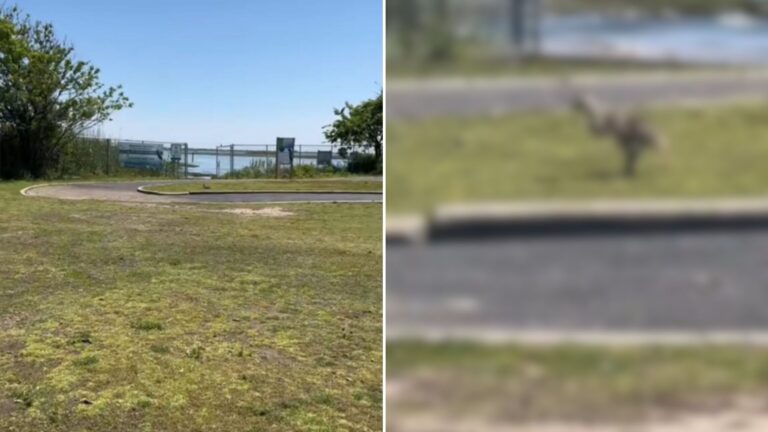 gray figure in park