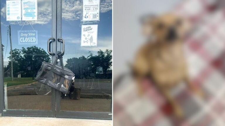 bag on shelter door handle