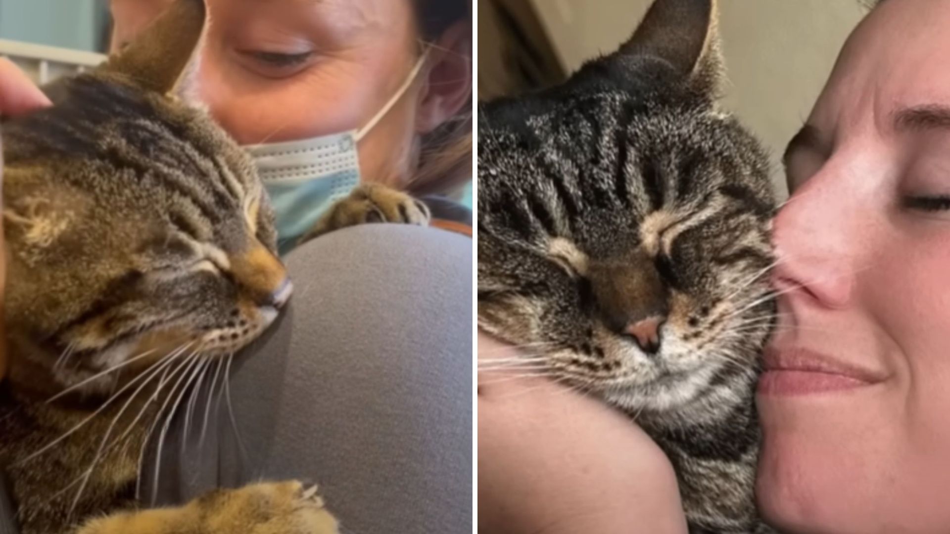 oregon cast spends years locked in a shelter