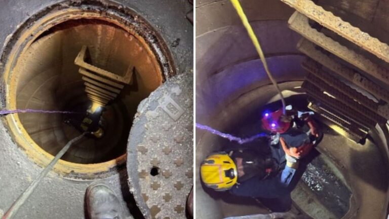 kitten stuck in storm drain pittsburgh