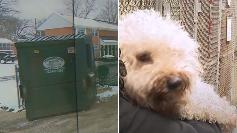 puppy in dumpster