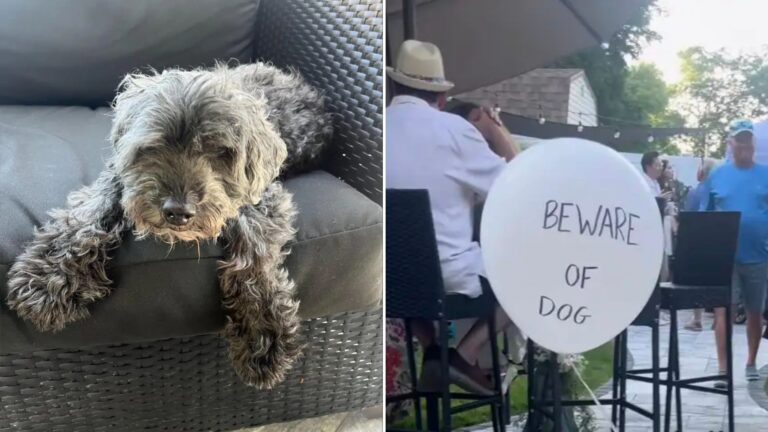 family ties a balloon to their dog