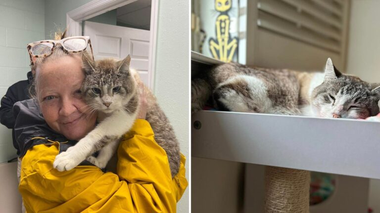 woman reunited with cat