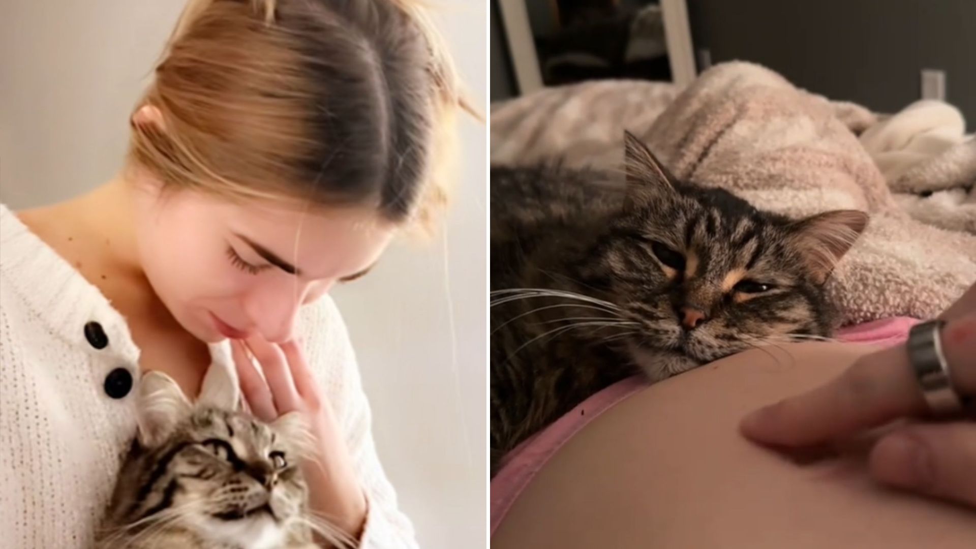 South Dakota Woman Captures Her Cat’s Reaction To Pregnancy And It’s Totally Unexpected