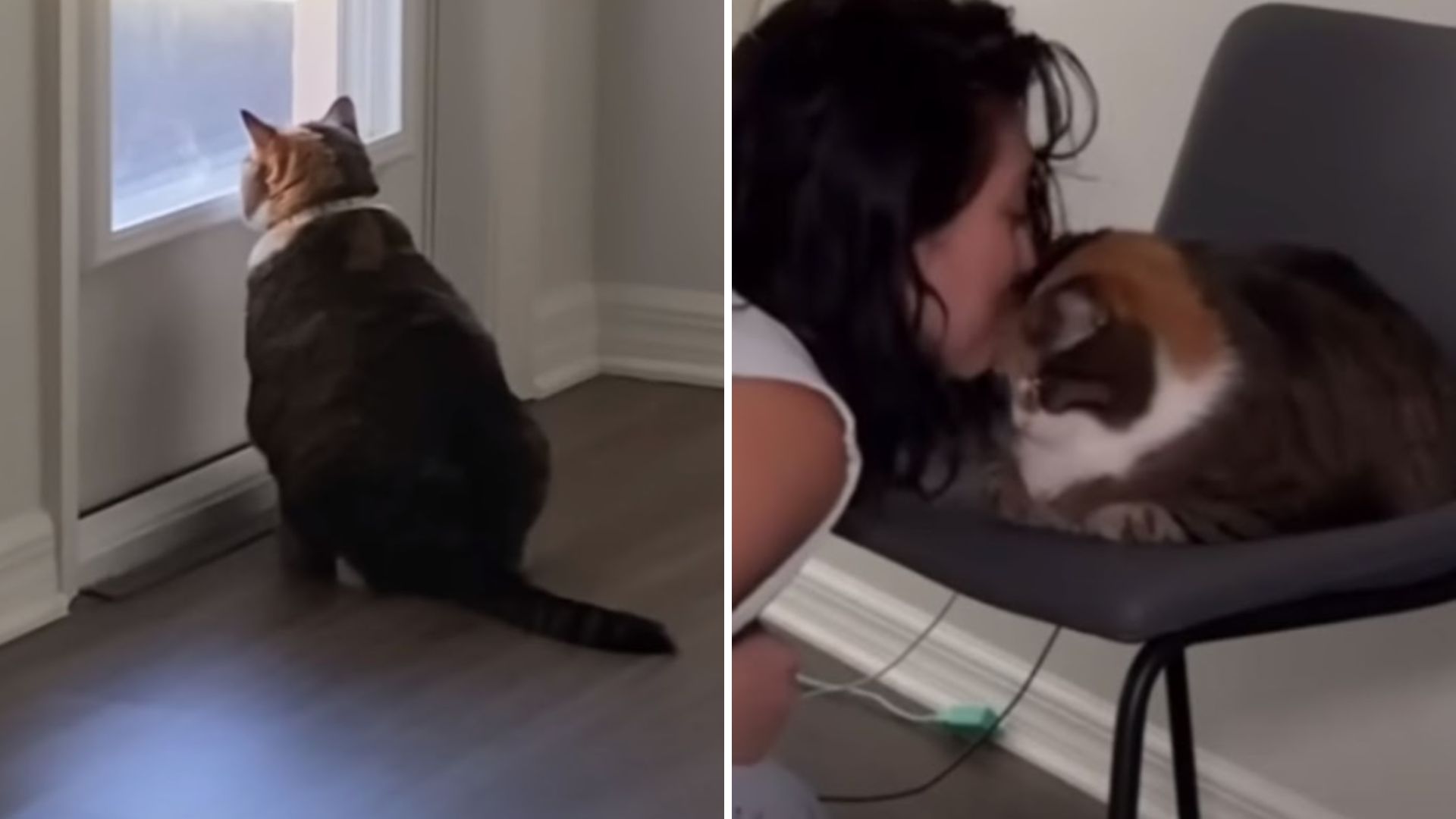 abandoned senior reveals touching personality
