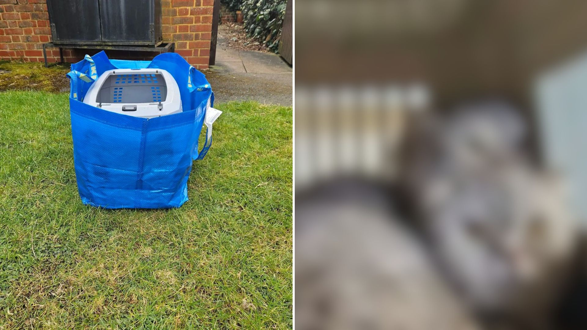 carrier in bag on parking lot