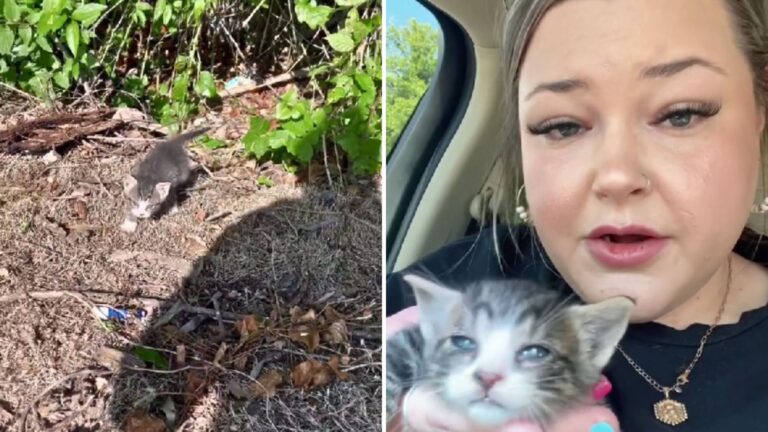 woman and rescued kitten