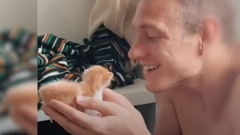 man and kitten