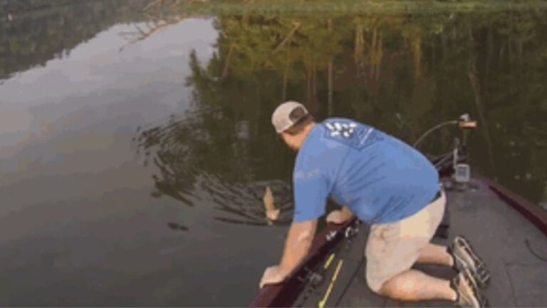 man is fishing and sees a cat
