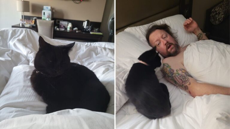 cat and man in bed