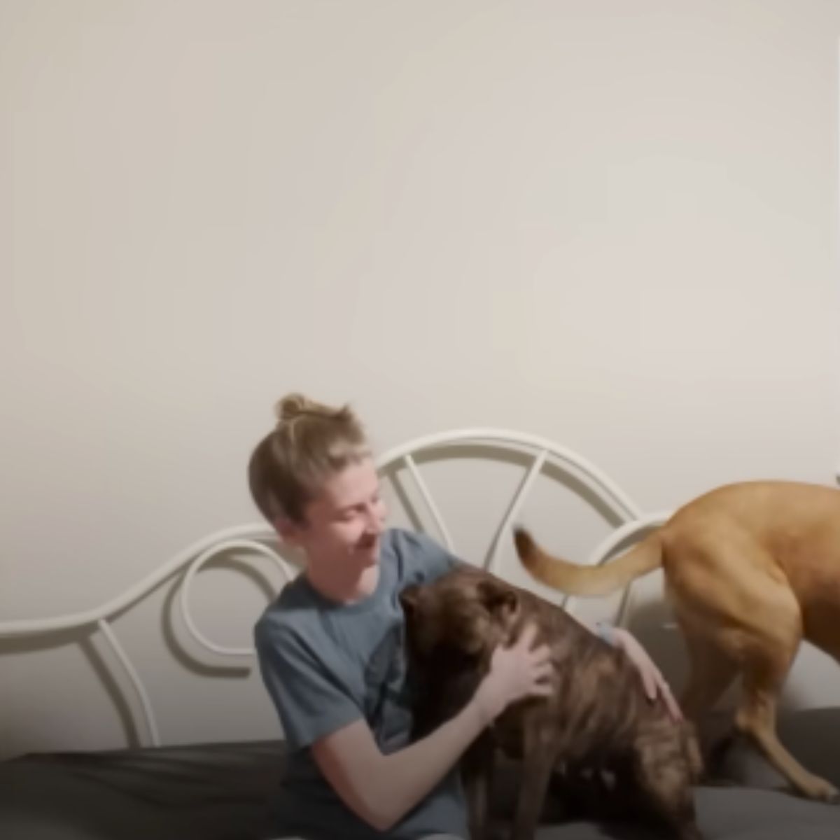 adopted dog hugs