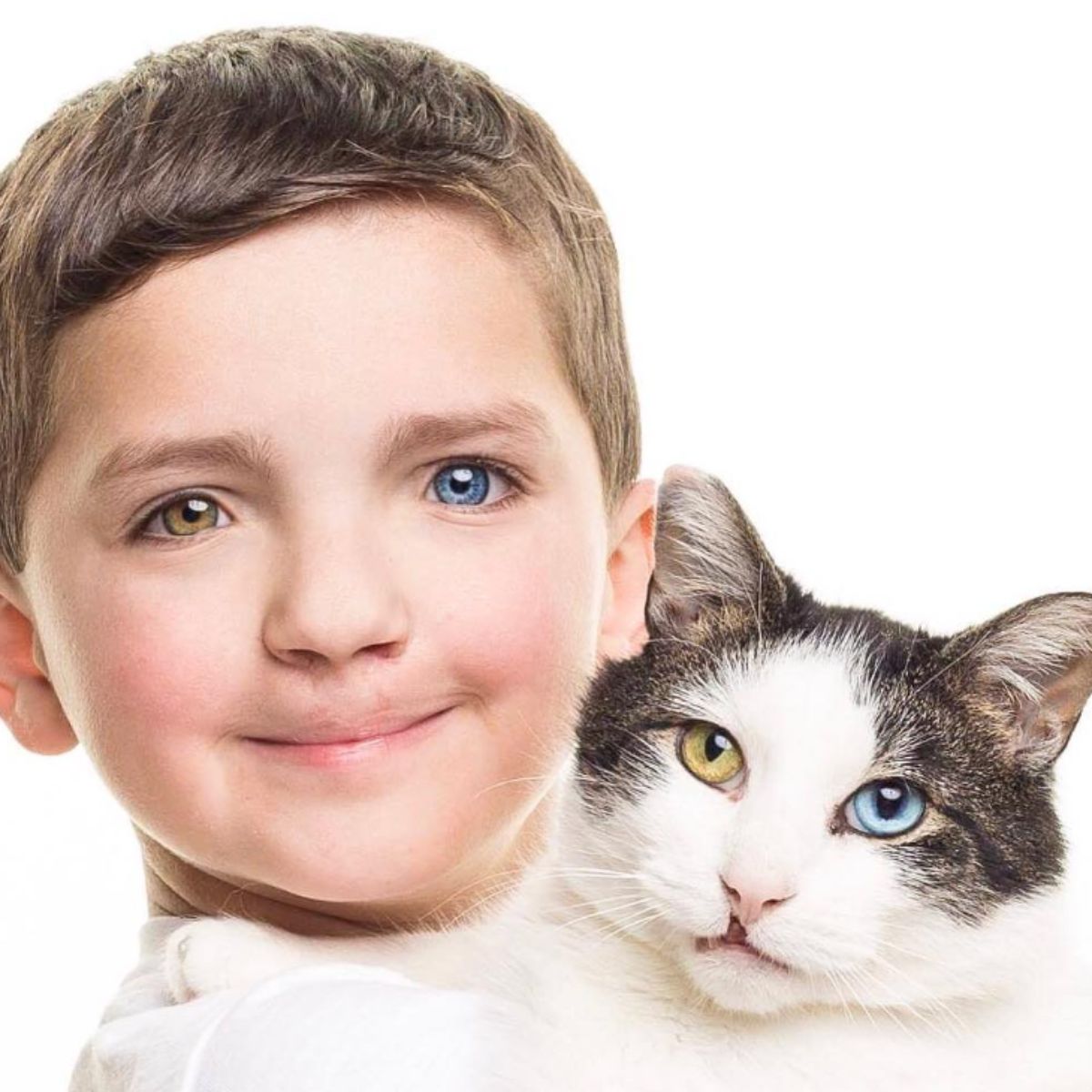 adorable eyes of a boy and a cat