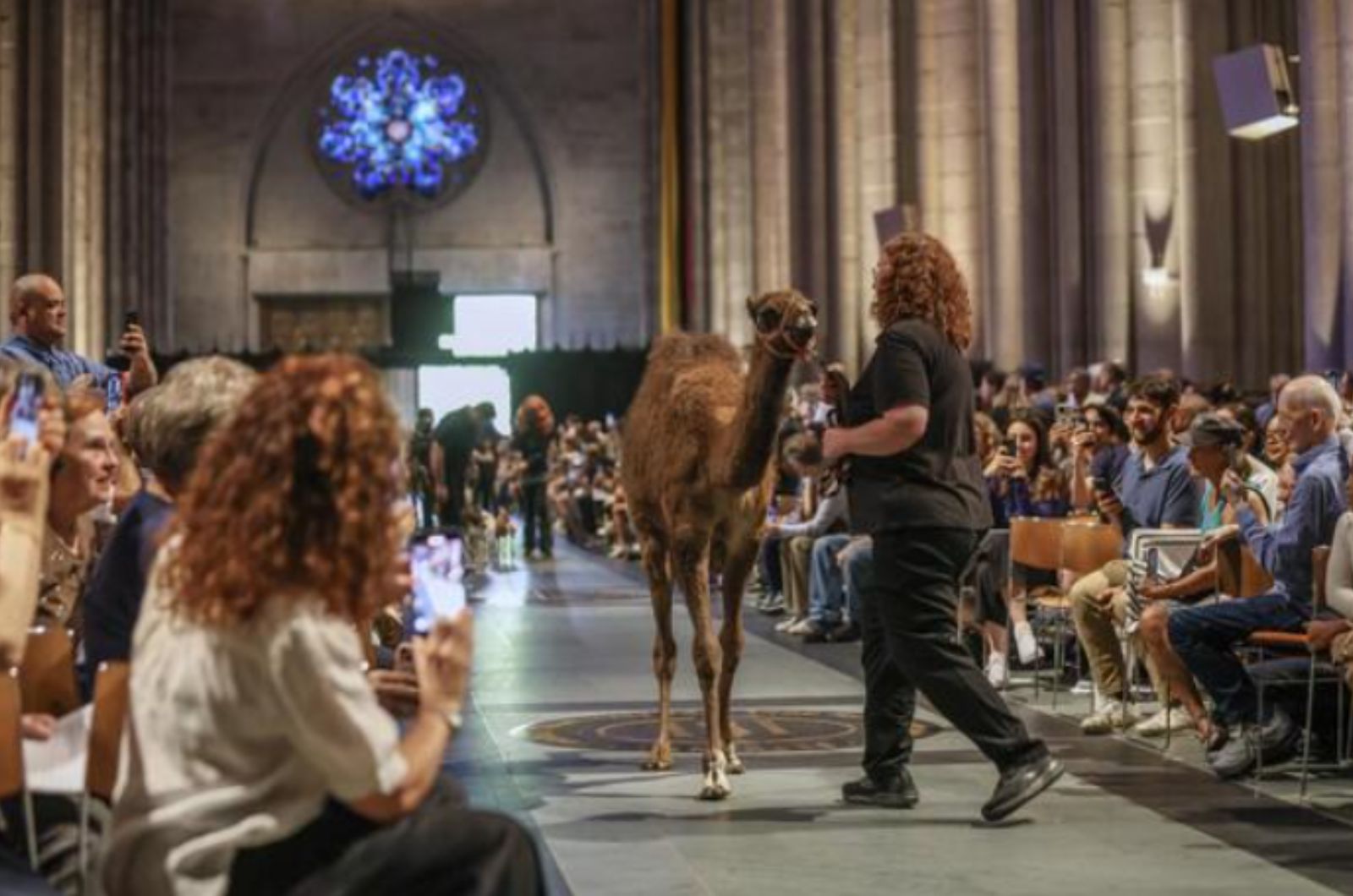 animals in the church