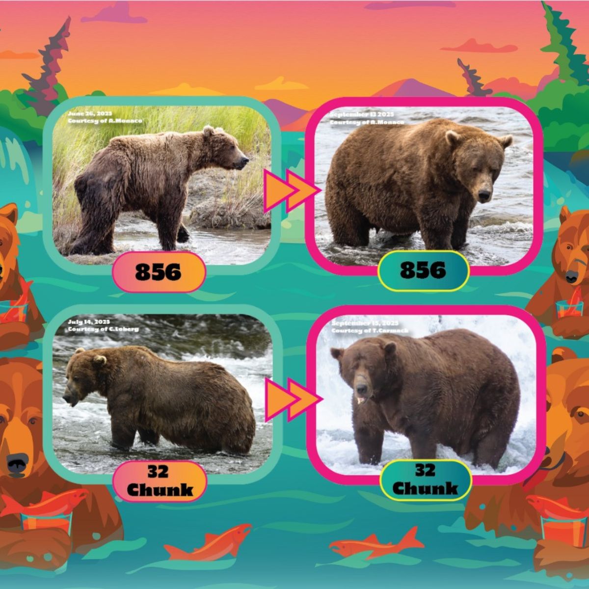 bear poster