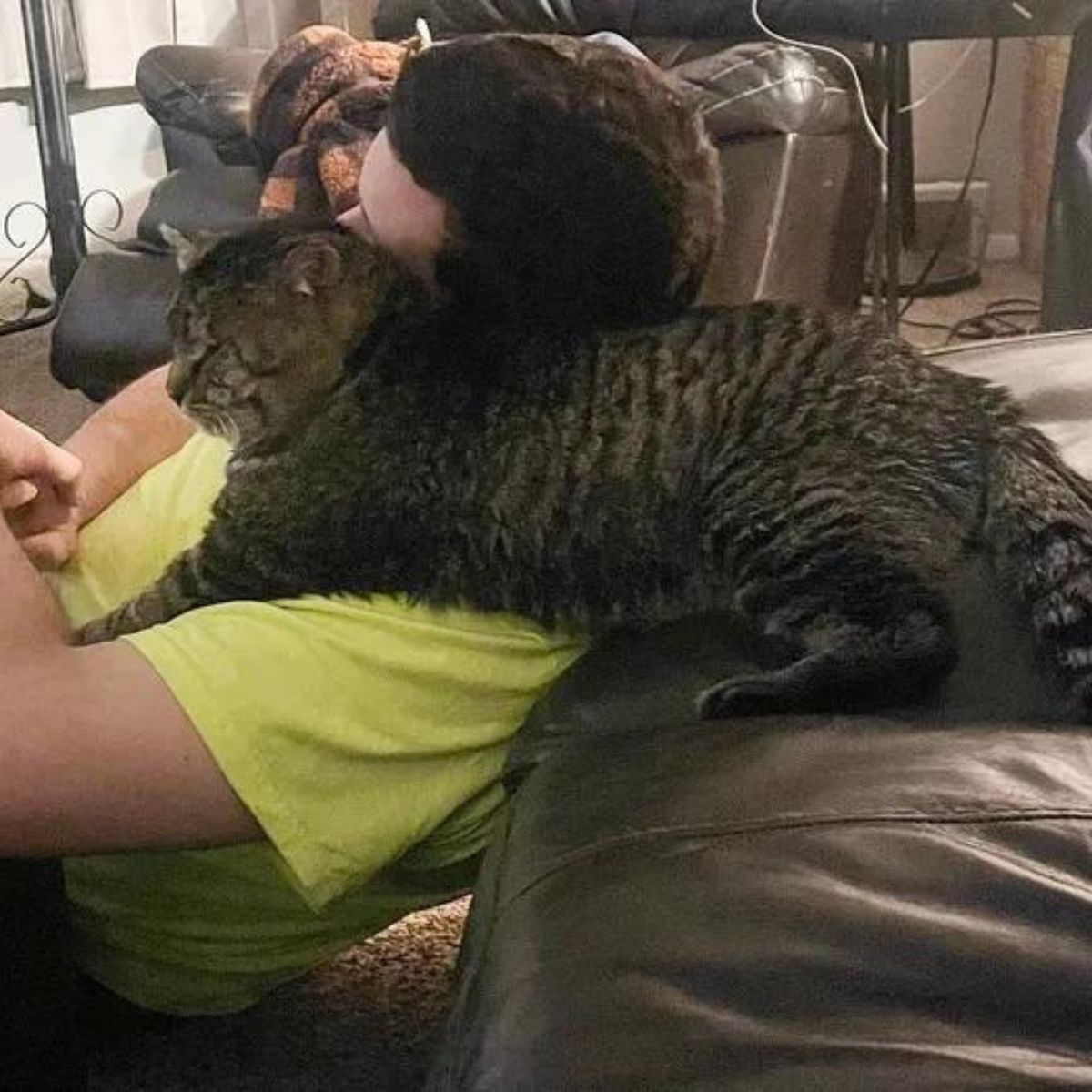 big cat hugs a man
