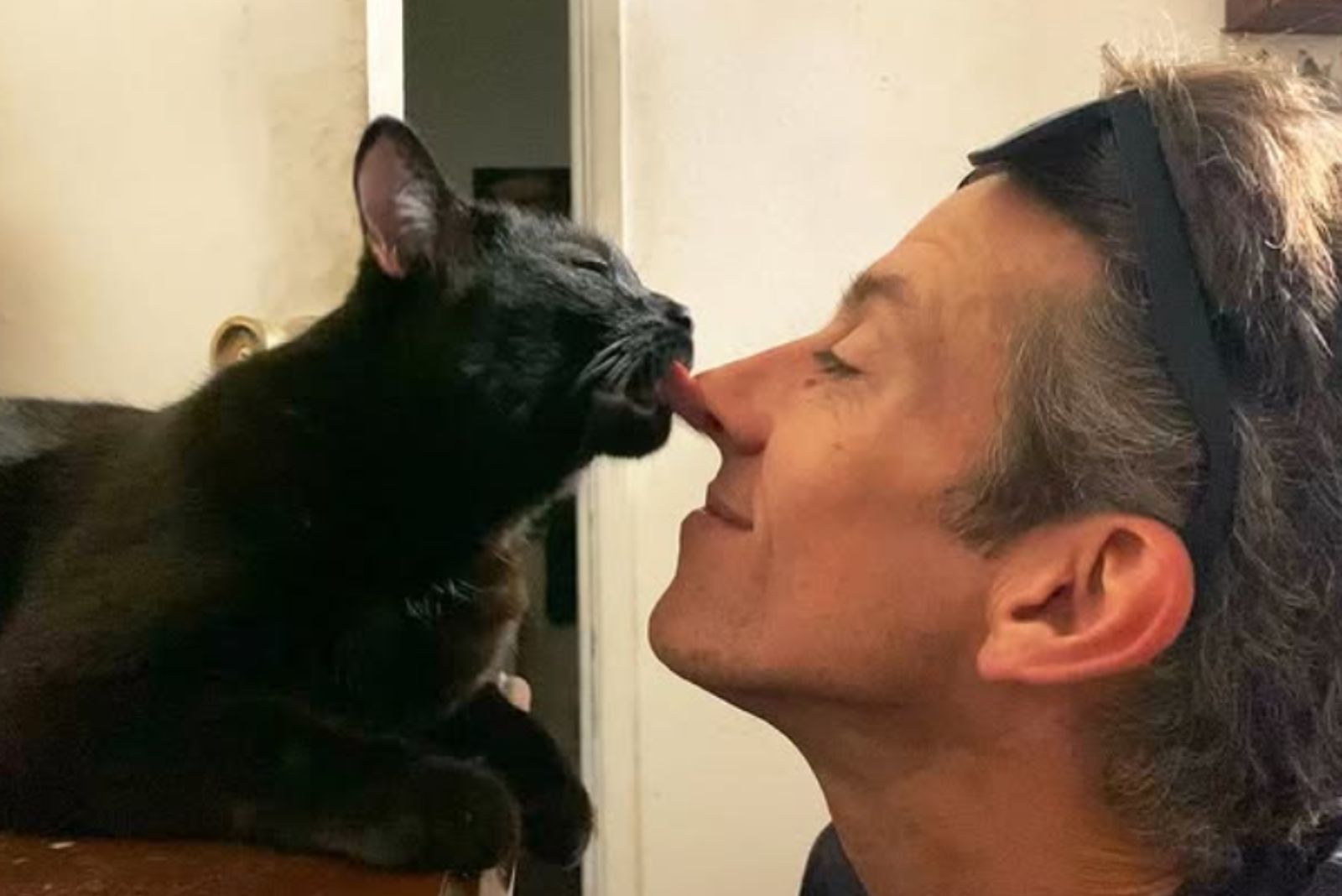 black cat licking nose from man
