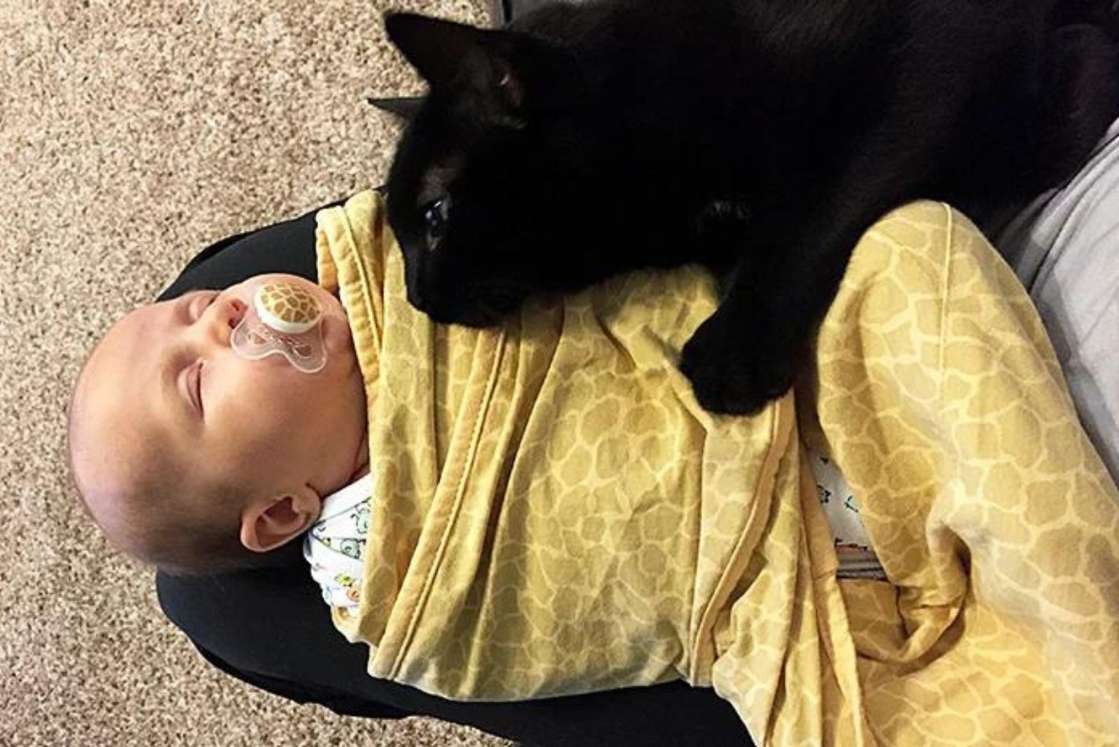 black cat sleeps on a baby
