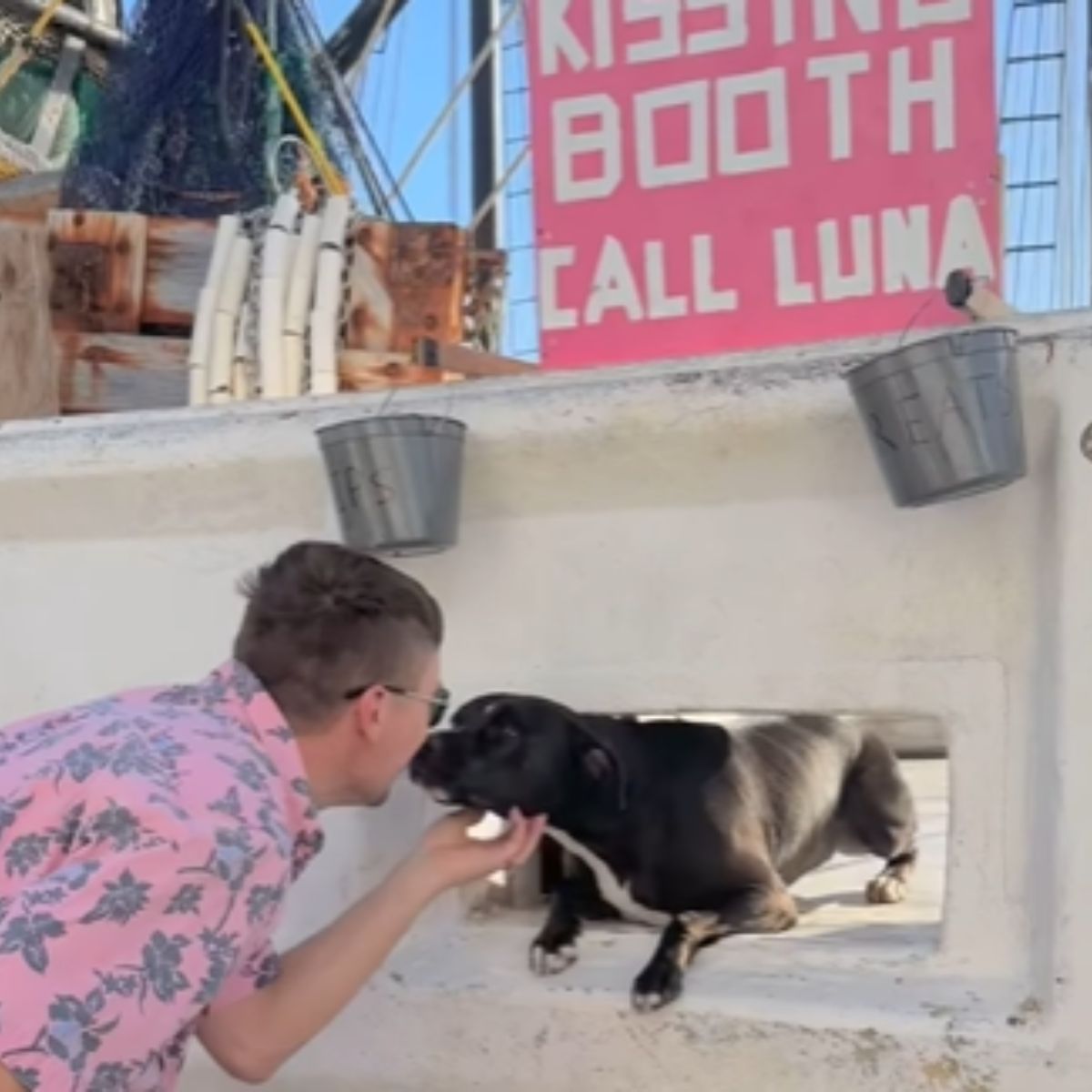 black dog kisses a man