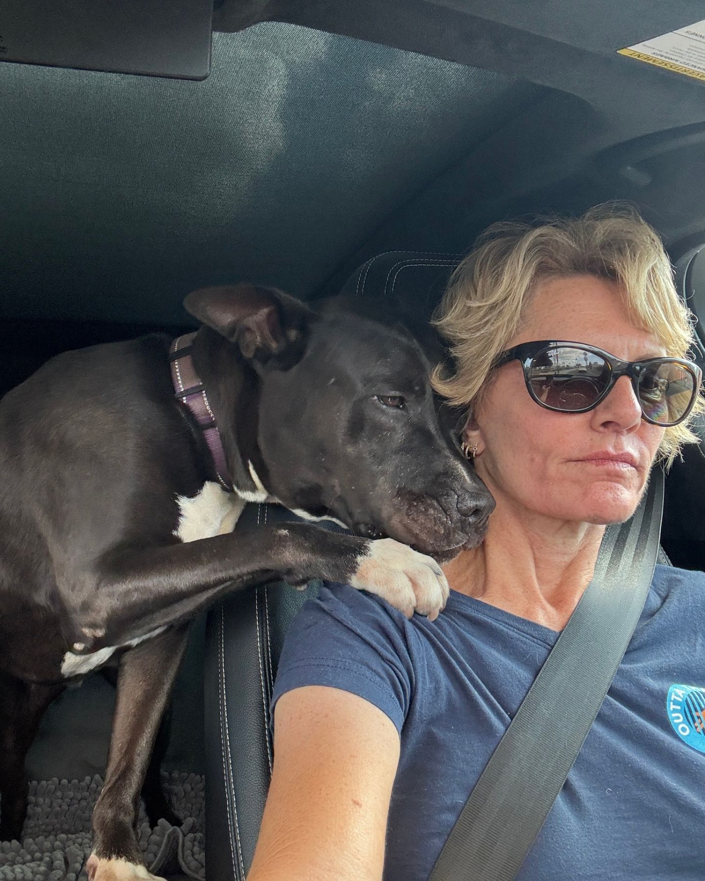 black dog on a woman's shoulder in a car