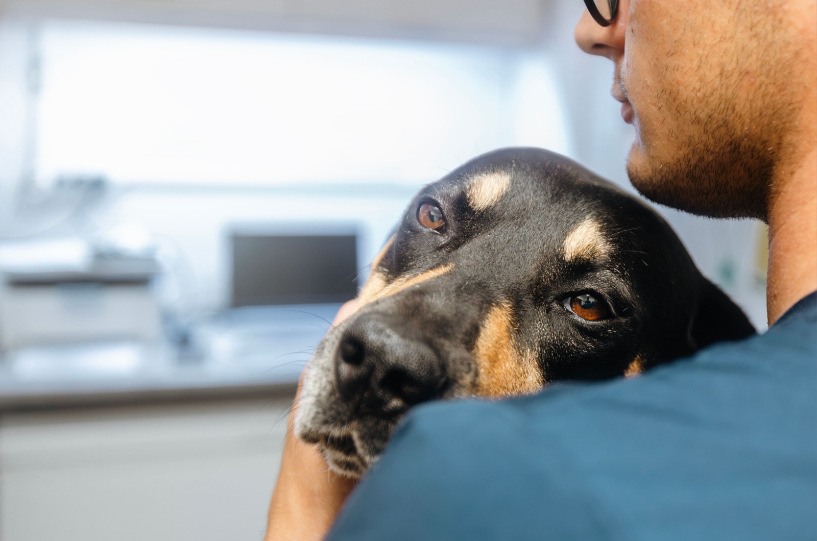 black dog on man's shoulder