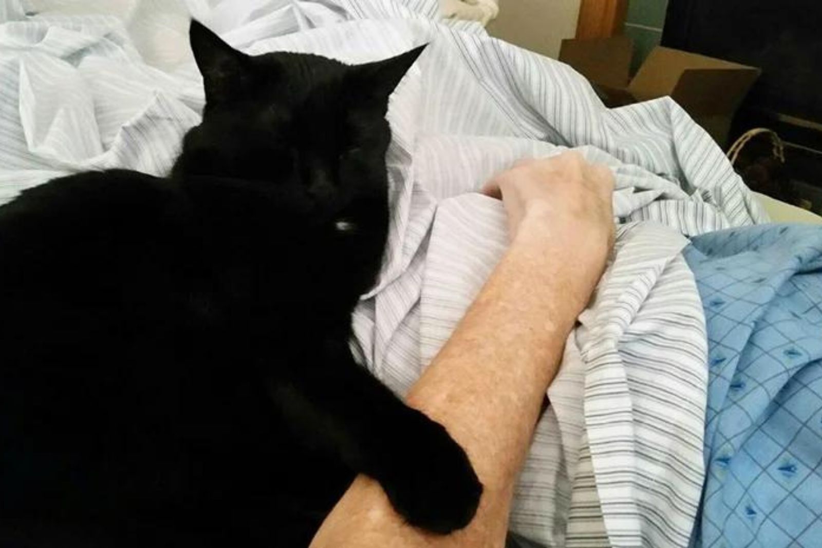 black woman hugs a man's hand