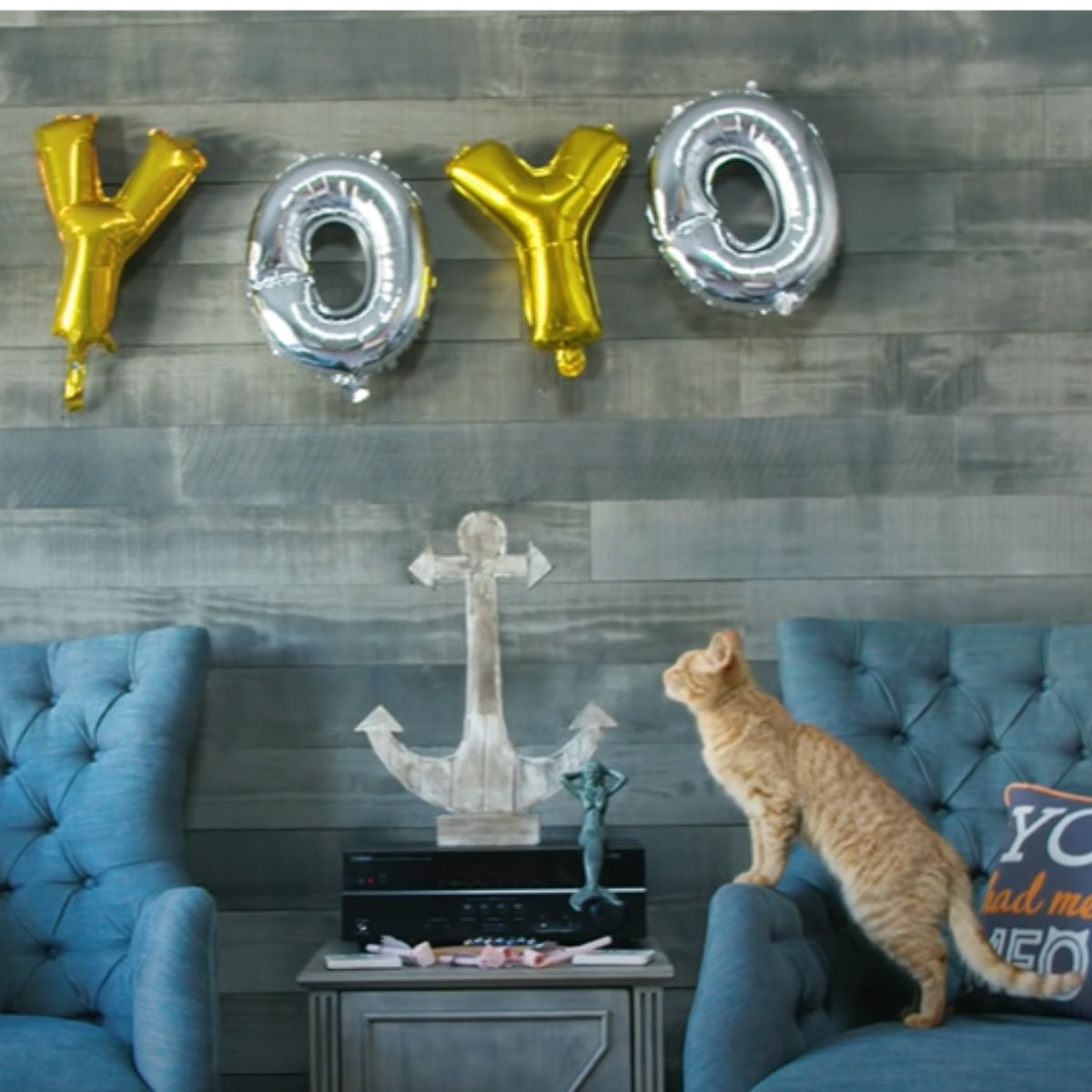 blind cat next to a balloon