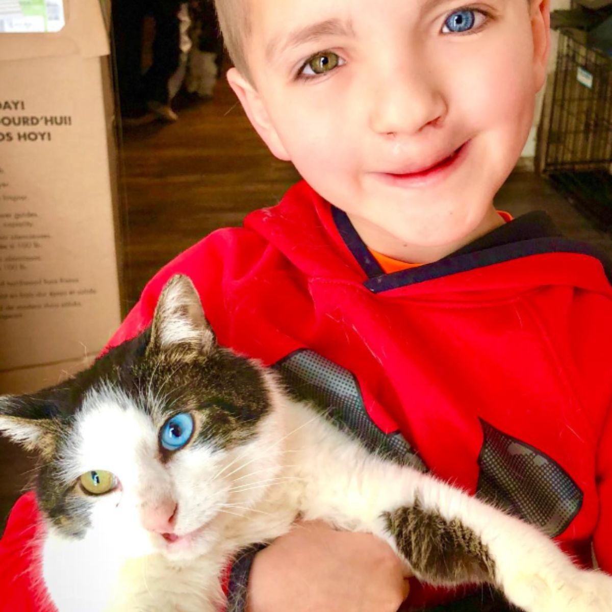boy and a cat with the same different eye colors